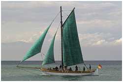 Hanse Sail 2006